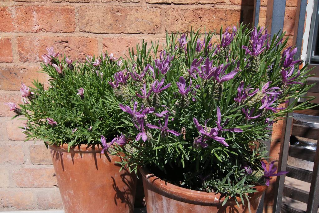 The Bell, Alderminster Bed & Breakfast Stratford-upon-Avon Eksteriør bilde